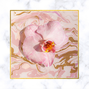 "Sunday Dream" Orchid Limited Edition Fine Art Print by Sheri Vegas