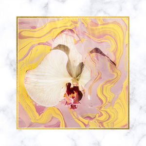 "Novella" Yellow Orchid Limited Edition Fine Art Print by Sheri Vegas