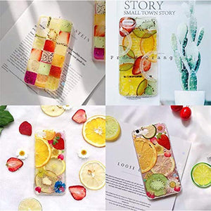 freneci Dried Pressed Fruits, Orange Slices for Resin Casting, resin, resinartbysheri, resinartbysheri, [variant_title],