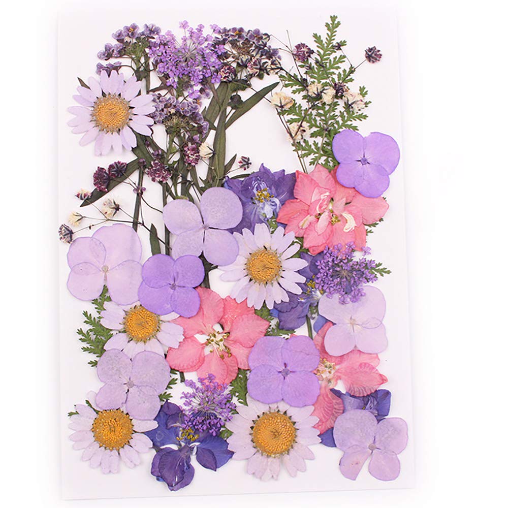 Natural Dried Flowers Combination DIY Pressed Herbarium Flower for Resin Jewelry Crafts Nail Stickers (E), dried flowers, Zenra, resinartbysheri, [variant_title],