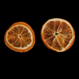 freneci Dried Pressed Fruits, Orange Slices for Resin Casting, resin, resinartbysheri, resinartbysheri, [variant_title],