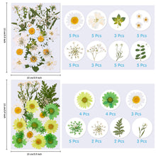 144 Pieces Dried Pressed Flowers Natural Dried Flowers Colorful Pressed Flowers Daisies Real Dried Flowers Leaves Petals for DIY Candle Resin Jewelry Nail Pendant Crafts Making and Decoration Supply, dried flowers, resinartbysheri, resinartbysheri, [variant_title],