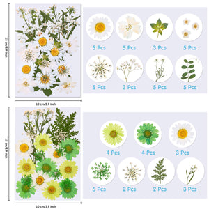 144 Pieces Dried Pressed Flowers Natural Dried Flowers Colorful Pressed Flowers Daisies Real Dried Flowers Leaves Petals for DIY Candle Resin Jewelry Nail Pendant Crafts Making and Decoration Supply, dried flowers, resinartbysheri, resinartbysheri, [variant_title],