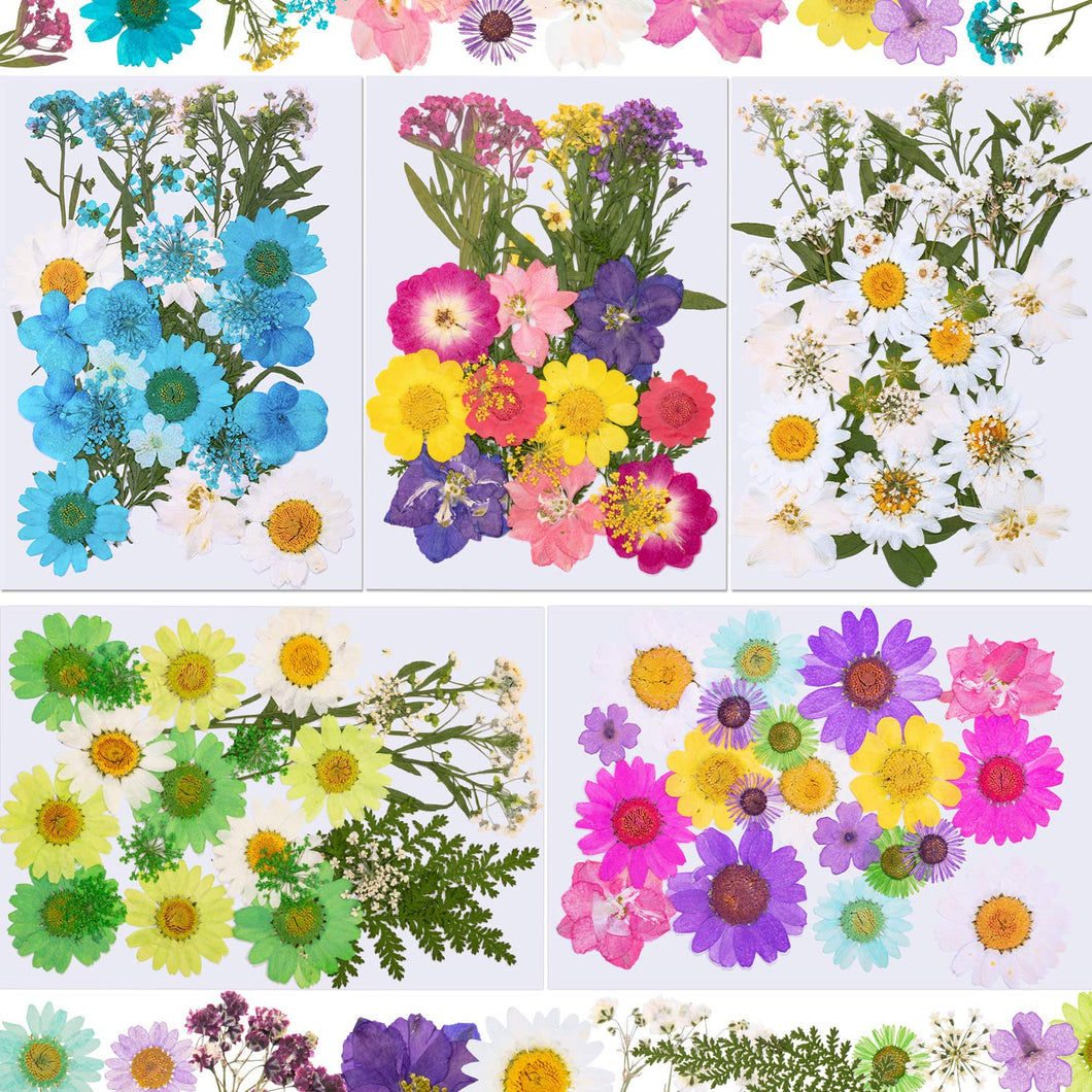 144 Pieces Dried Pressed Flowers Natural Dried Flowers Colorful Pressed Flowers Daisies Real Dried Flowers Leaves Petals for DIY Candle Resin Jewelry Nail Pendant Crafts Making and Decoration Supply, dried flowers, resinartbysheri, resinartbysheri, [variant_title],