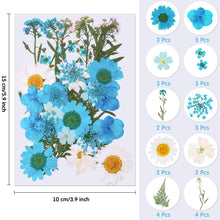 144 Pieces Dried Pressed Flowers Natural Dried Flowers Colorful Pressed Flowers Daisies Real Dried Flowers Leaves Petals for DIY Candle Resin Jewelry Nail Pendant Crafts Making and Decoration Supply, dried flowers, resinartbysheri, resinartbysheri, [variant_title],