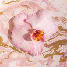 "Sunday Dream" Orchid Limited Edition Fine Art Print by Sheri Vegas