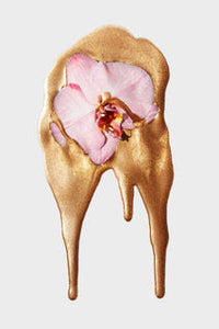 "Muse" Gold Orchid Limited Edition Fine Art Print by Sheri Vegas