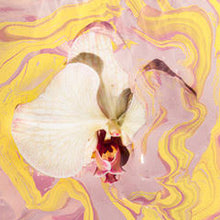 "Novella" Yellow Orchid Limited Edition Fine Art Print by Sheri Vegas